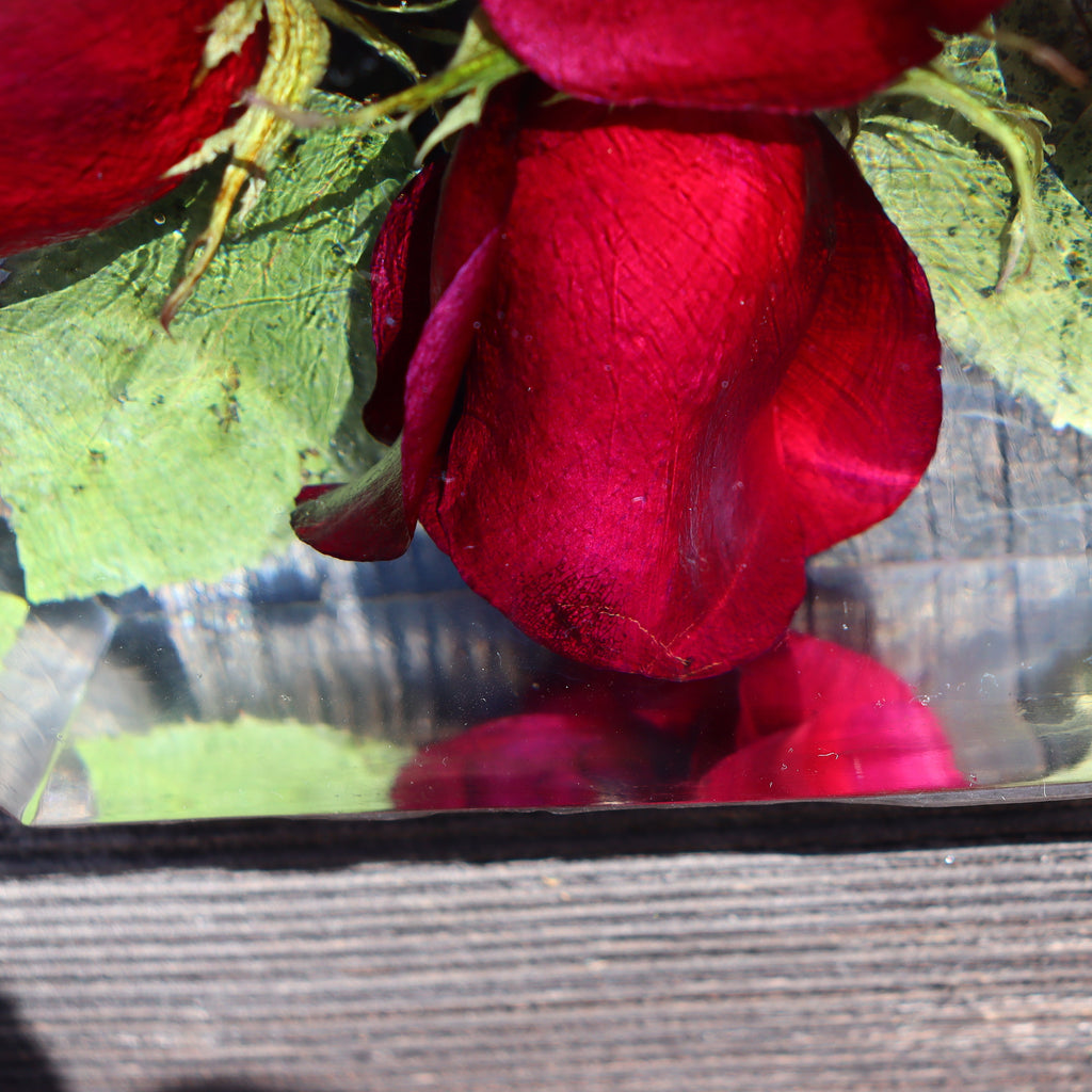 close-up of red roses with a resin block