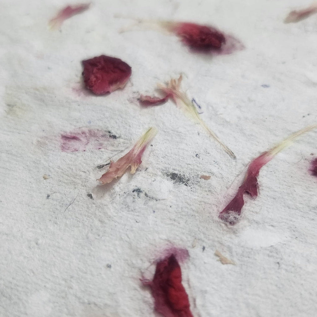 texture of handmade recycled paper with red dried flower petals