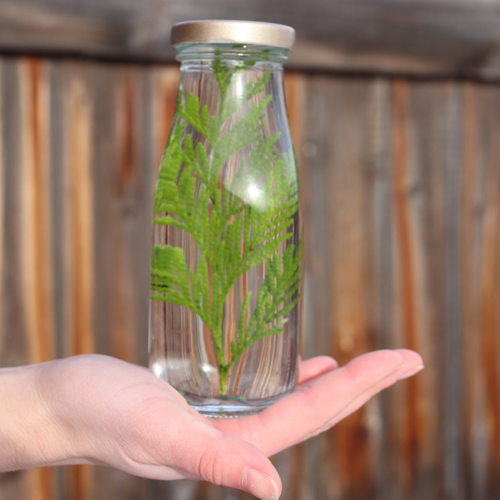 8.6oz Japanese-Style Herbarium Jar