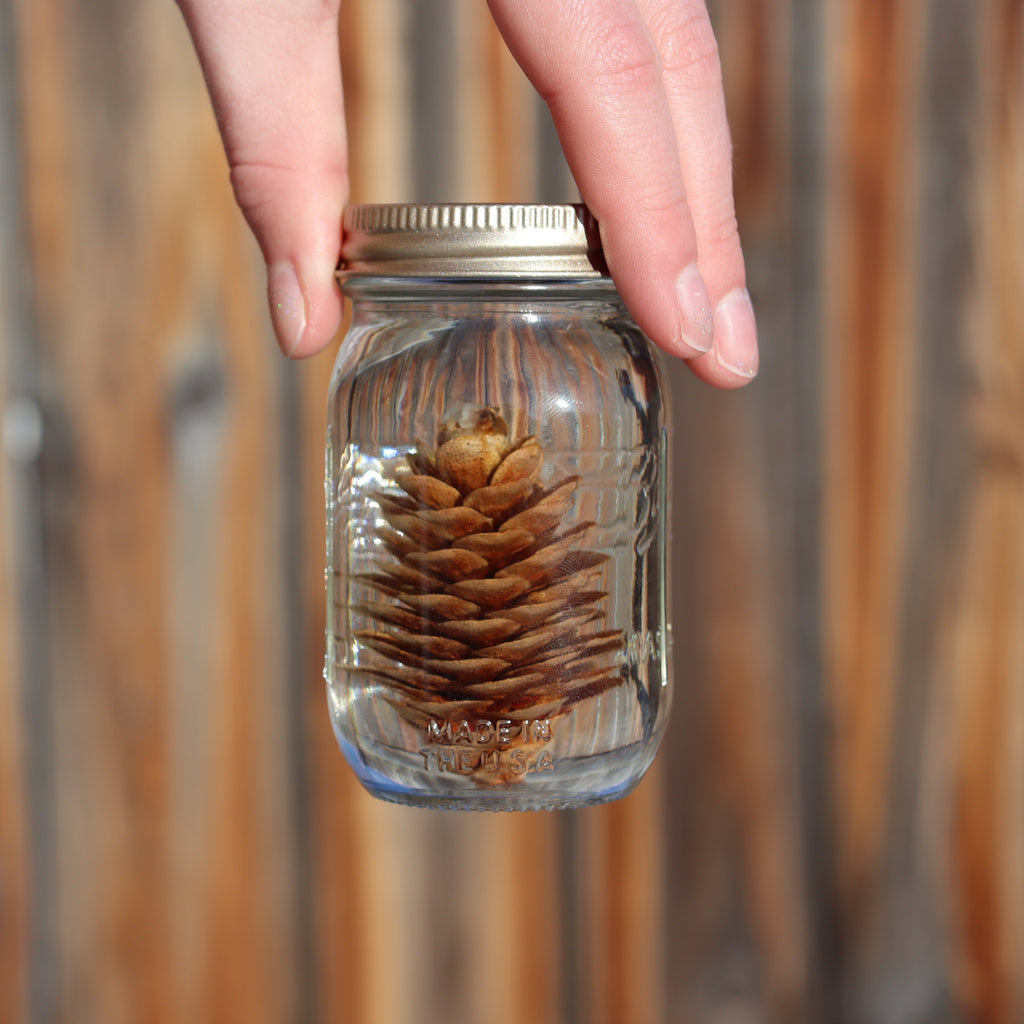 4oz preserved botanical herbarium jar