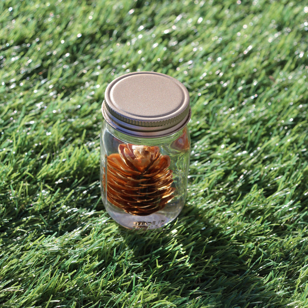 4oz preserved botanical herbarium jar