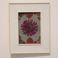 framed floral artwork